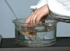 圖解加熱氯酸鉀或高錳酸鉀制取氧氣的實驗